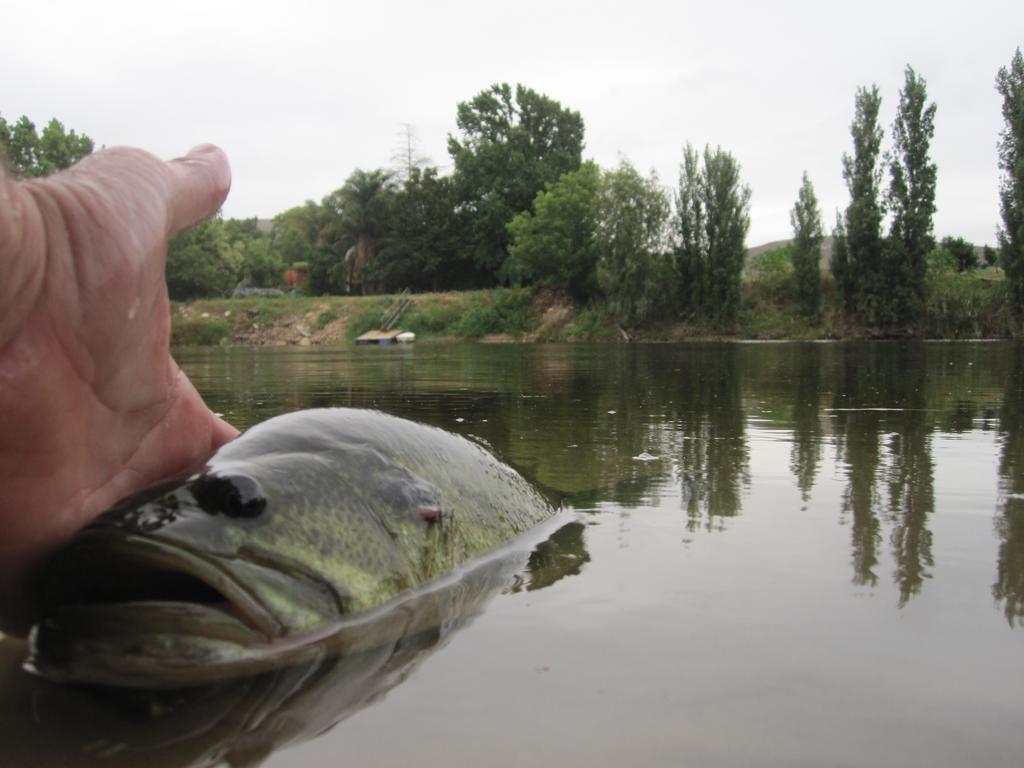 Bonnievale River Lodge Εξωτερικό φωτογραφία